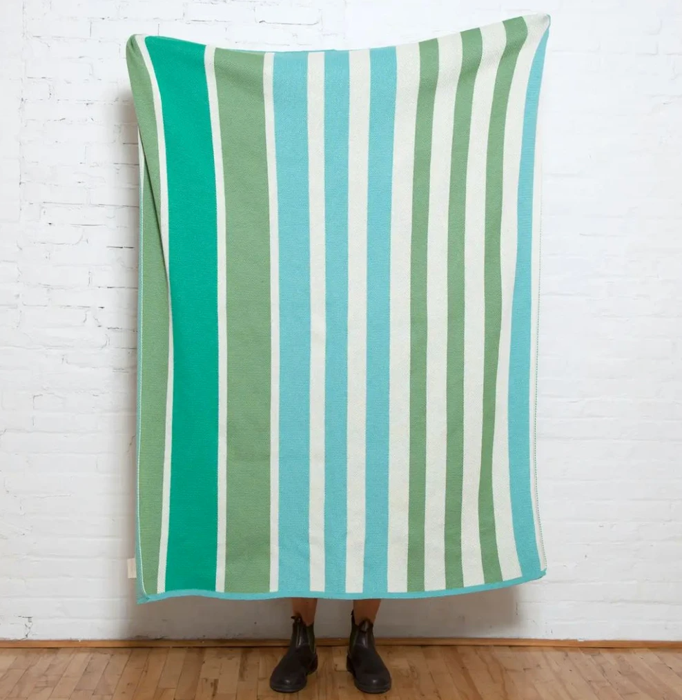 Shop Stacy Garcia, Green Striped Indoor/Outdoor Throw Blanket